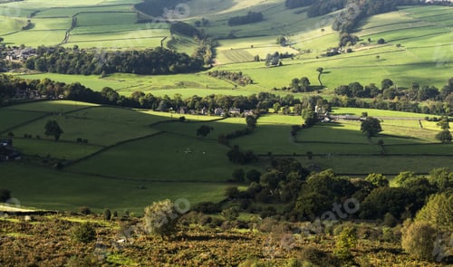 Preview: Valley Floor