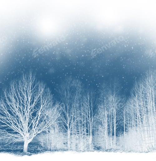 Preview: Frozen Winter Forest With Snow Covered Trees. Outdoor