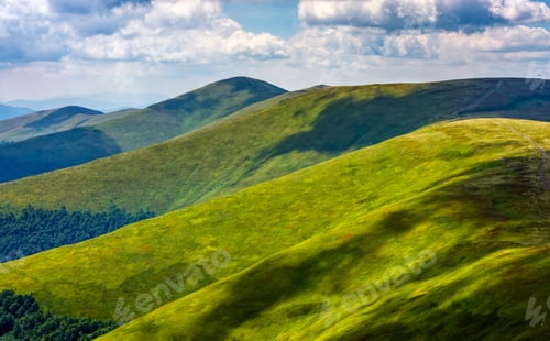 Preview: Beautiful Summer Landscape. Forest And Grassy Meadow On A Hillside Of Mountain Ridge