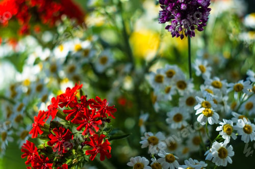Preview: A Bouquet Of Bright Spring Flowers Of Various Types