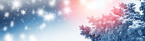 Preview: Frozen Winter Forest With Snow Covered Trees. Outdoor