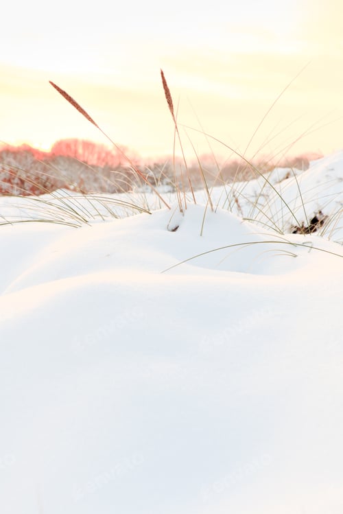 Preview: Dunes Covered With Snow At Sunset