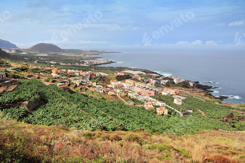 Preview: Tenerife Island, Spain - Landscape Of Buenavista Del Norte (North Coast). Banana Plantations.