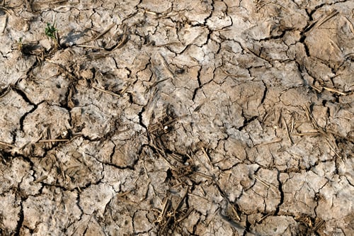 Preview: Bone Dry Crop Field Surface