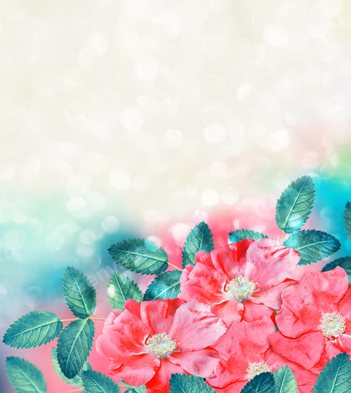 Preview: Summer Landscape. Delicate Wild Rose Garden Flowers
