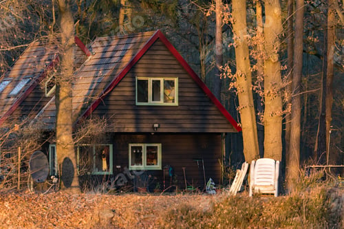 Preview: Wooden Recreational House In Forest Lit By Low Sunlight. Achterhoek. Gelderland. The Netherlands.