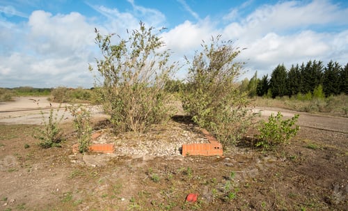Preview: Overgrown Ruins Of A Demolished Building