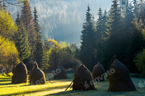 Preview: Steaming Haystack In The Forest At Sunrise. Rare Rural Background
