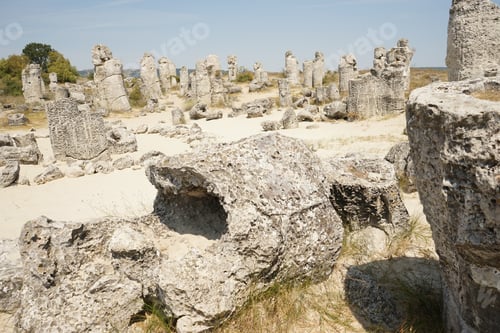 Preview: Pobiti Kamani (The Stone Desert), A Desert-Like Rock Phenomenon Located On The North West Varna