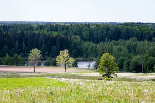 Preview: Bright Fresh Fields In Country Under Blue Sky With White Storm Clouds