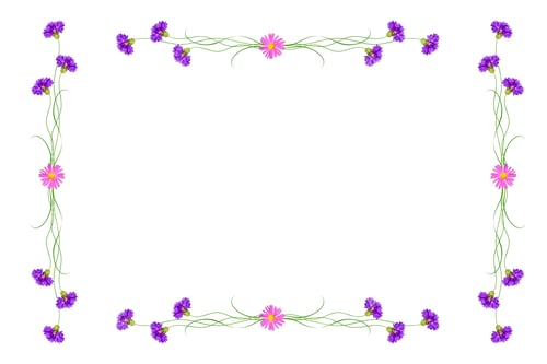 Preview: Bright Flowers Cornflowers Isolated On White Background.