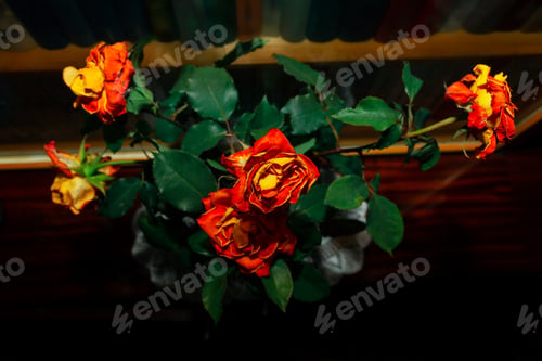 Preview: Roses With Dry Petals . Flowers On The Shelf With Books
