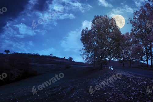 Preview: Asphalt Road Passes Through The Autumn Shaded Forest At Night In Full Moon Light