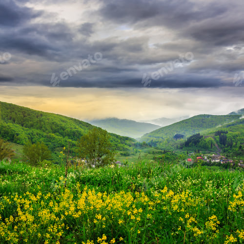 Preview: Summer Landscape. Yellow Flowers On The Meadow Hillside. Village Near Forest In Morning Fog On The
