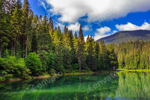 Preview: View On Lake Near The Pine Forest Early In The Morning On Mountain Background