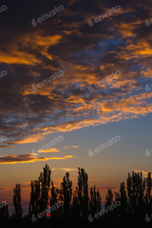 Preview: Landscape With Dramatic Light