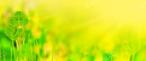 Preview: Green Clover Leaves On A Background Summer Landscape