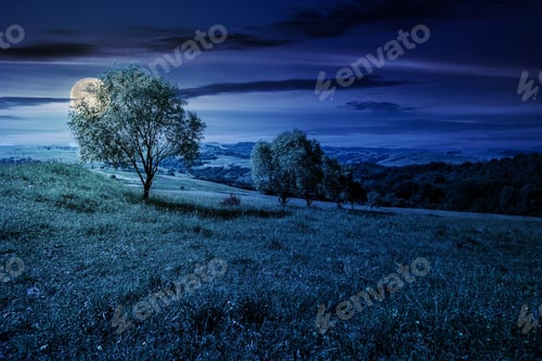 Preview: Row Of Trees On Grassy Slope At Night In Full Moon Light. Lovely Countryside In Summer