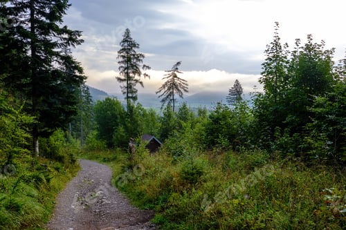 Preview: Simple Country Gravel Road In Summer At Countryside Forest With Trees Around And Clouds In The Sky