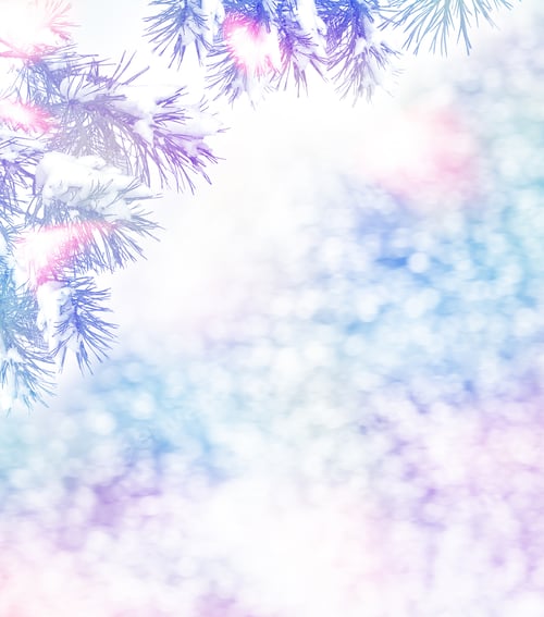 Visualização: Plano de fundo de Natal. Floresta na geada. Paisagem de inverno. Árvores cobertas de neve.