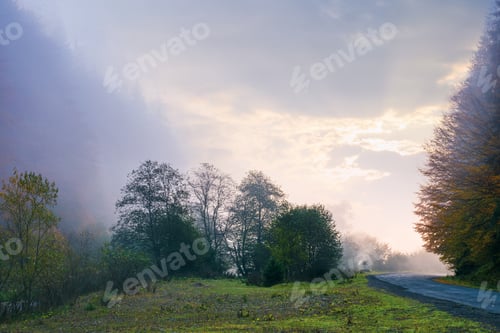 Preview: Thick Fog In Autumn Countryside. Trees On Hills In Rural Area. Sunlight Breaking Through