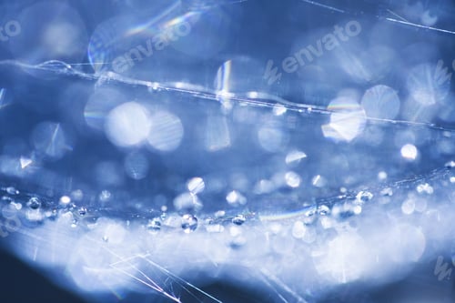Preview: Abstract Composition With Water Drops, Spiderwebs And Bokeh. Image Has Grain Texture Visible On Its