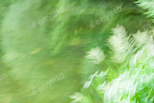 Preview: Abstract Composition With Plants And Vegetation With Moving Effects
