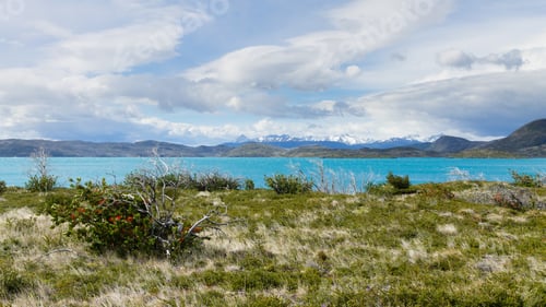 Preview: Lake Pehoe View, Torres Del Paine National Park, Chile. Chilean Patagonia Landscape