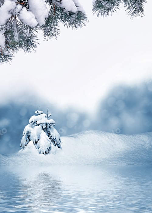 Preview: Forest In The Frost. Winter Landscape. Snow Covered Trees