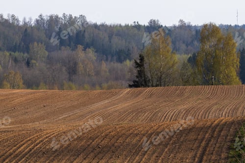 Preview: Agricultural Fields In Springtime