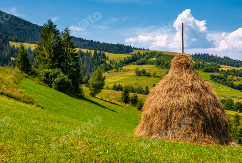 Preview: Haystack On A Grassy Hill On A Summer Day. Beautiful Scenery In Carpathian