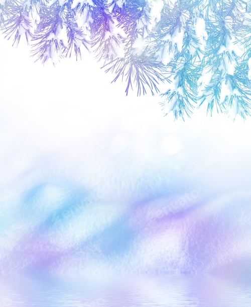 Visualização: Floresta na geada. Paisagem de inverno. Árvores cobertas de neve