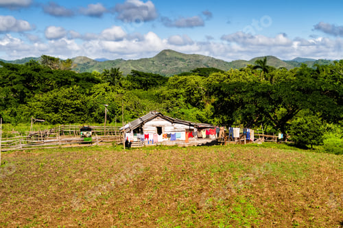 Preview: Old Log Cabin In A Remote Cuban Countryside And Natural Environment. Many Cubans Live In Wooden
