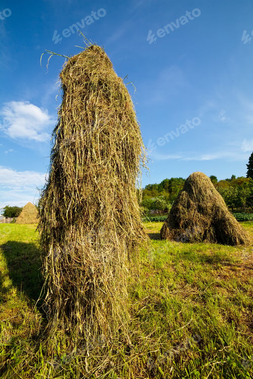 Preview: Landscape With Hay Stacks Under Blue Sky In The Countryside
