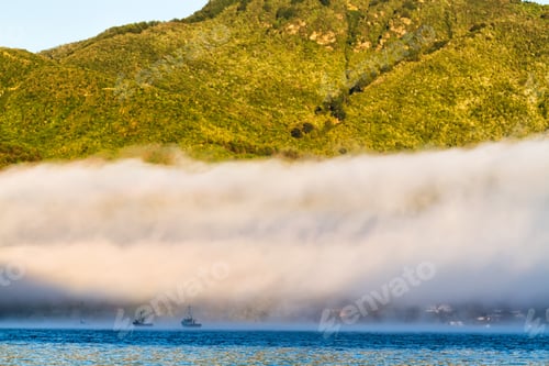 Preview: Boats Moored Queen Charlotte Sound, Picton, Marlborough Region, South Island, New Zealand