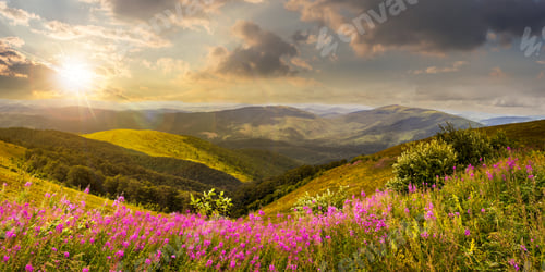 Preview: Composite Landscape With High Wild Grass And Purple Flowers On The Top Of High Mountain In Sunset