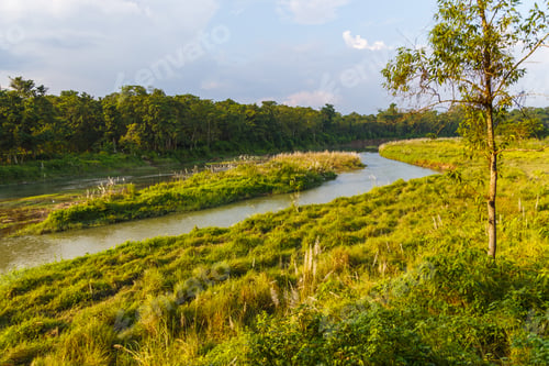 Preview: Beautiful View Inside Of The Forest In The Royal Chitwan National Park, Sauraha, Nepal. The Park Is