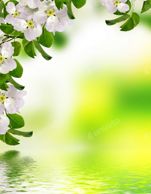 Preview: Blooming Apple Tree. Spring Landscape With Blooming Flowers
