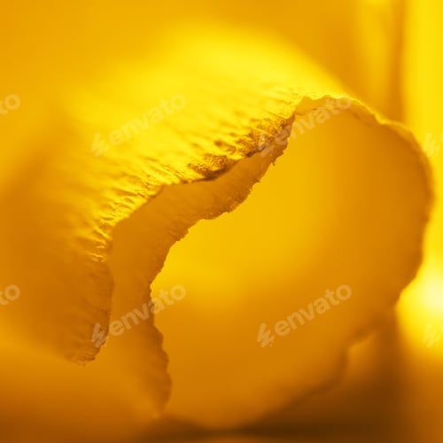 Preview: Colorful Abstract Composition With Orange Crepe, Lights And Shadows