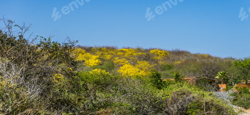 Preview: General Views Around The Caribbean Island Of Curacao