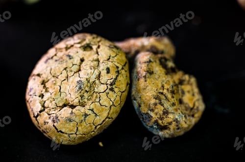 Preview: Untreated Cocoa Beans On Black Background, Close Up, Macro