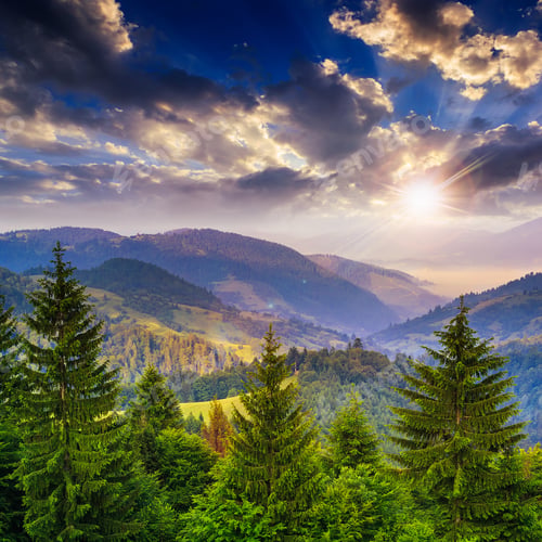 Preview: Mountain Landscape Pine Trees Near Valley And Colorful Forest On Hillside Under Blue Sky With