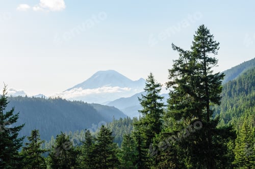 Preview: Mount Rainier Peaking Through The Clouds And The Surrounding Forest.
