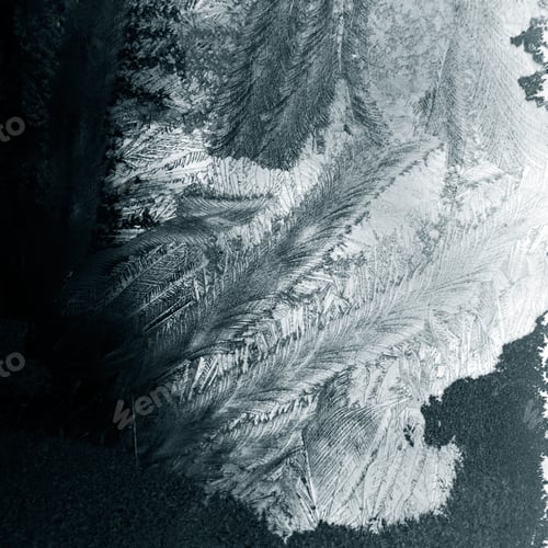Preview: Ice Flowers On Glass - Texture And Background