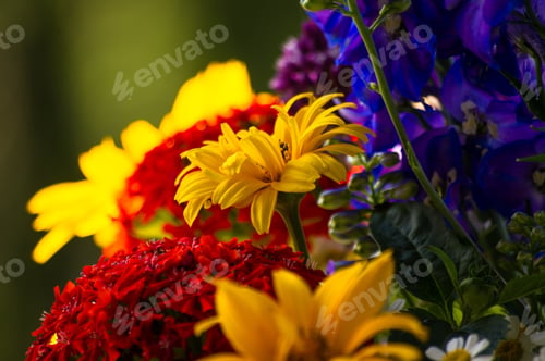 Preview: A Bouquet Of Bright Spring Flowers Of Various Types