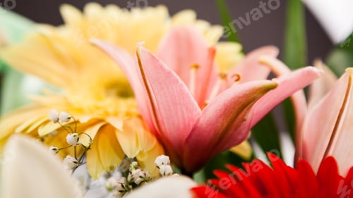 Preview: Floral Arrangement In A Beautiful Bouquet