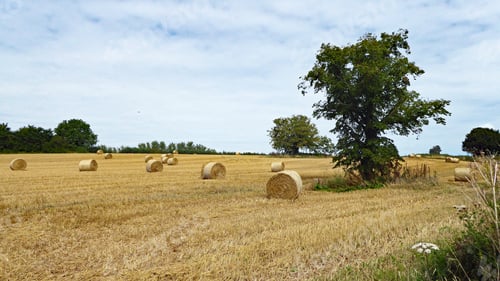 Preview: Straw Bales In A Summertime Field.