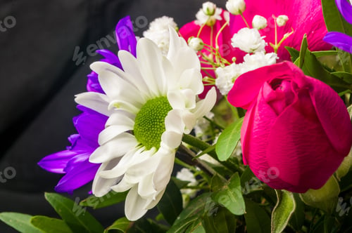 Preview: Background For A Greeting Card - Beautiful Gift Bouquet Of Various Colorful Decorative Summer