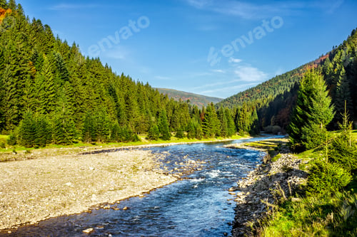 Preview: Landscape With River Among The Conifer Forest In Mountains