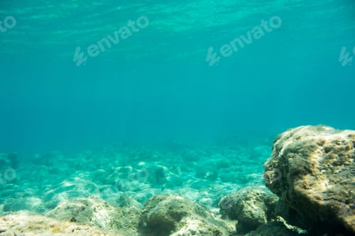 Preview: Underwater Texture And Fauna In Ionian Sea, Zakynthos, Greece